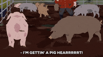 farm pigs GIF by South Park 