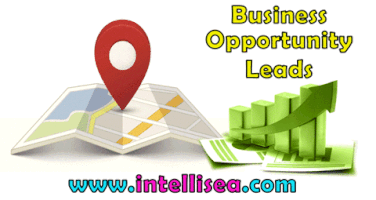 smallbusinesswebsitedesign business opportunity leads GIF