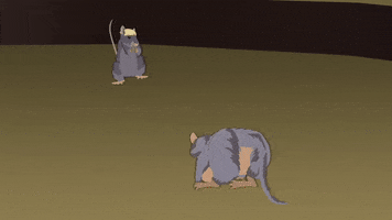 mice rats GIF by South Park 