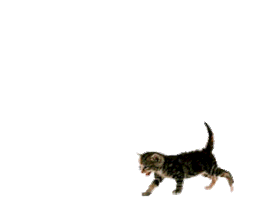 josepasschier  Sticker