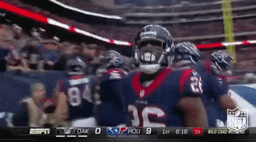 houston texans touchdown GIF by NFL