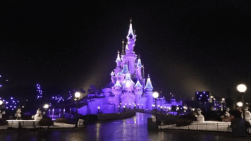 ariannalenzi disneyland paris castello GIF