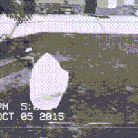 200.gif?cid=fc005b08dd07c380745829f9eba603b293beba3b9bac907b&rid=200.gif&ct=g