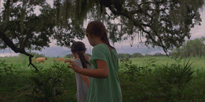 the florida project GIF by A24