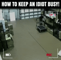 markusmack  GIF