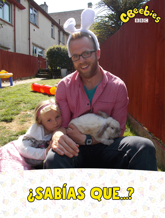 Animated GIF Find & Share on GIPHY