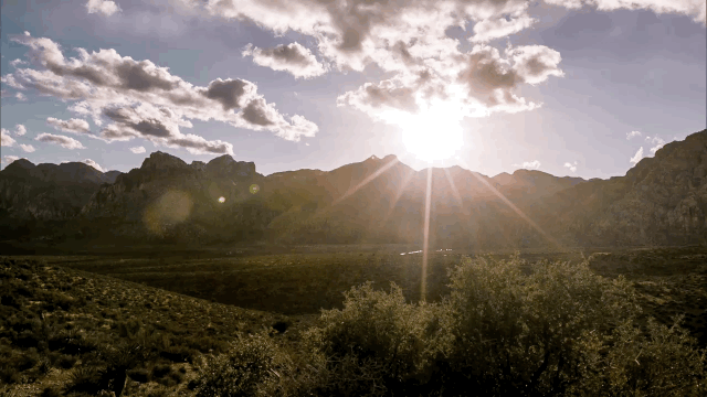 Episode 4 Sunshine GIF by UFC - Find & Share on GIPHY