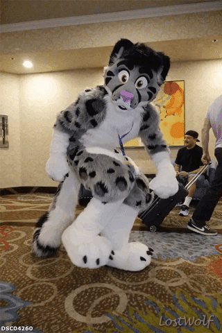 ruffleschip furry fursuit fursuiting blfc GIF