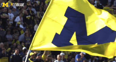Wolverines-football GIFs - Get the best GIF on GIPHY