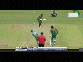 rnarakib  GIF