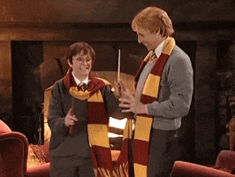 Happy Harry Potter GIF by Saturday Night Live