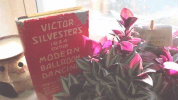 World Book Day Love GIF by esmeanimates 