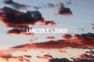aljanskrt  GIF