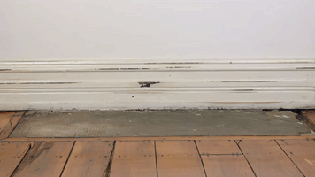 wedlock leather shoes GIF