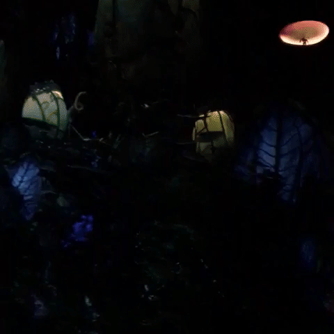 modelcitypolish #visitpandora GIF