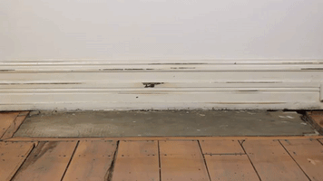 wedlock leather shoes GIF