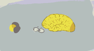 educarportal turbulencia cerebro matematica fisica GIF