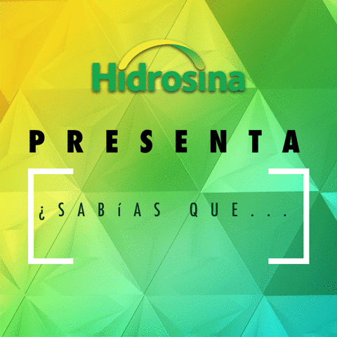INCMexico f1 mexico gp hidrosina GIF