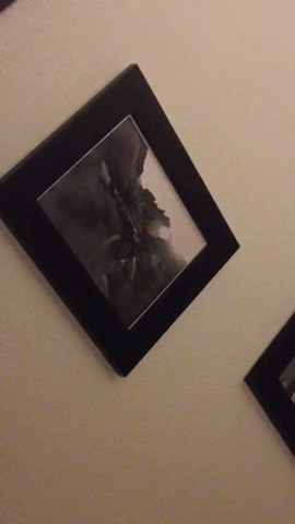 ripsnort photo fan cinemagraph l GIF