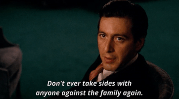Image result for don't ever go against the family gif