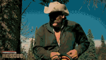 200.gif?cid=fc005b08c1bf0377c75ef3ad5627045f49f7128b02abc07c&rid=200.gif&ct=g