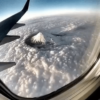 porcodegravata monte fuji GIF