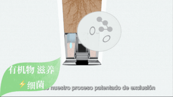 taiding bioo GIF