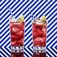 alcohol drinks GIF by Absolut Vodka