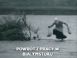 NBBIALYSTOK22  GIF
