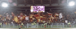 curva sud football GIF by AS Roma