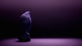 Work Monster GIF by Monster.co.uk