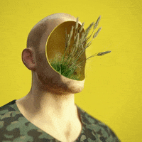 grass pothead GIF by alessiodevecchi