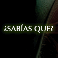 200.gif?cid=fc005b082a81e576099d704b354cae6779550debf5bbf9f3&rid=200.gif&ct=g