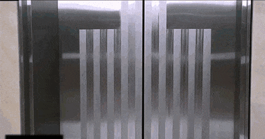 teganameliarose-wildehenchie  GIF