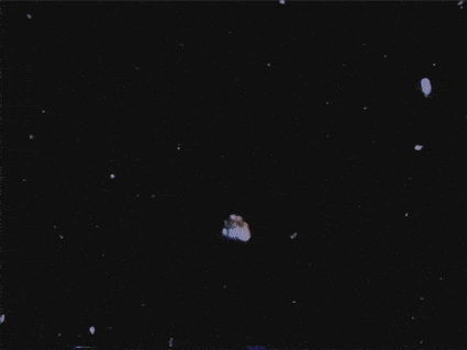 Animation Zoom Out GIF by vhspositive