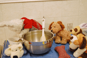 dog cooking GIF by Zackary Rabbit