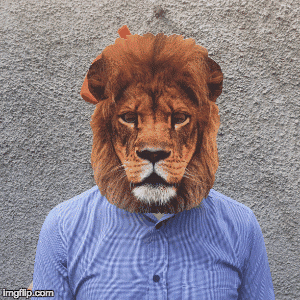 French Lion GIF by The Leith Agency