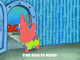 season 1 the bus is here GIF by SpongeBob SquarePants
