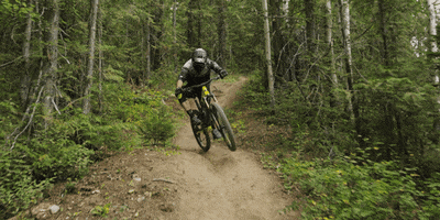 rockymountain  GIF