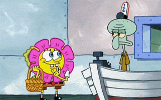 Flower Petals GIF by SpongeBob SquarePants - Find & Share on GIPHY