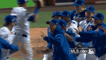 Celebrate Chicago Cubs GIF by MLB