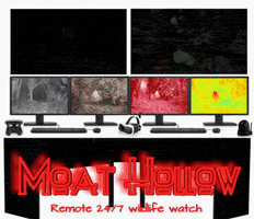 phoenixuk moat hollow watch GIF