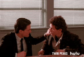 dont touch me twin peaks GIF by HULU