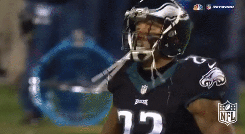 Philadelphia Eagles No GIF by NFL - Find & Share on GIPHY