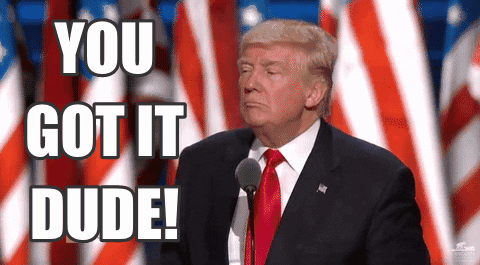 Donald Trump Yes GIF by Election 2016 - Find & Share on GIPHY