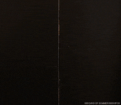 joseph gordon levitt ugh GIF by 20th Century Fox Home Entertainment