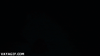 bronx  GIF