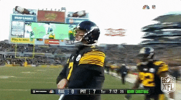 Pittsburgh Steelers Applause GIF by NFL