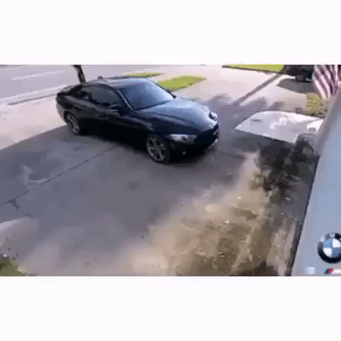 rayed  GIF