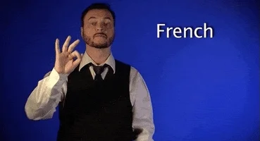 Sign with Robert sign language french sign with robert asl GIF